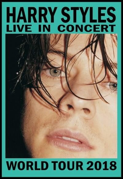 Placa Decorativa Harry Stiles