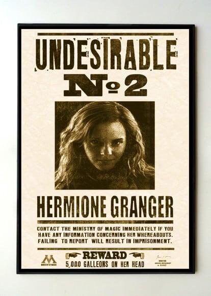 Quadro Harry Potter Undesirable Nr 2 Hermione Granger