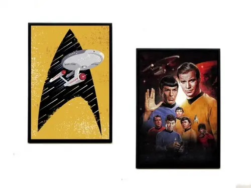 Dupla de Quadros Startrek 02
