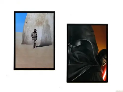 Dupla de Quadros Star Wars Anakin Skywalker