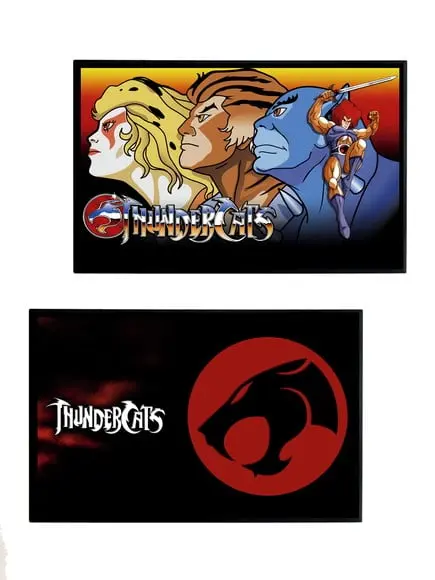 Dupla de Quadros Thundercats