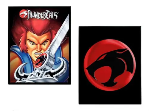 Dupla de Quadros Thundercats 03