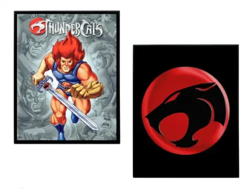 Dupla de Quadros Thundercats 01