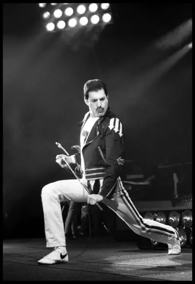 Placa Decorativa Freddie Mercury Pb