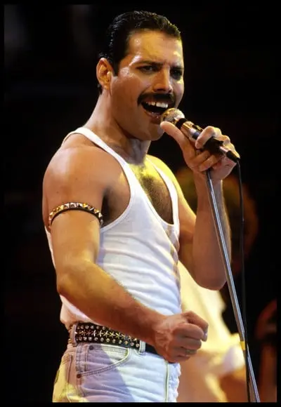Placa Decorativa Freddie Mercury