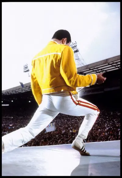 Placa Decorativa Freddie Mercury Wembley
