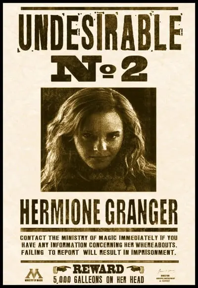 Placa Decorativa Harry Potter Hermione Procurado Nr 2