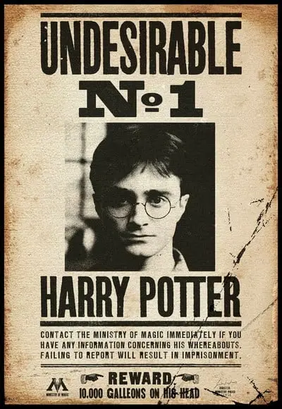 Placa Decorativa Harry Potter Procurado Nr 1