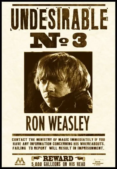 Placa Decorativa Harry Potter Rony Procurado Nr 3