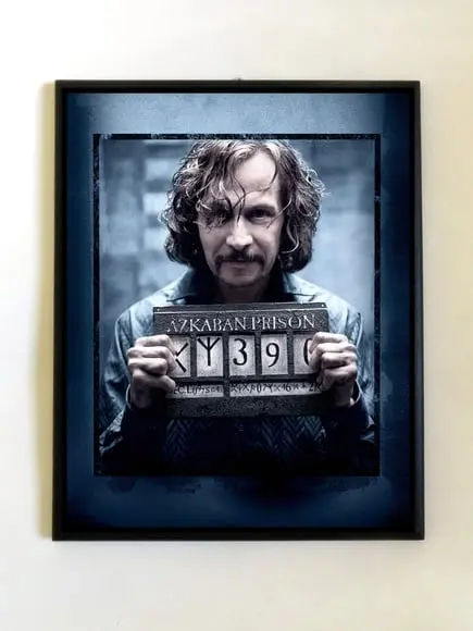 Quadro Harry Potter (Sirius Black)