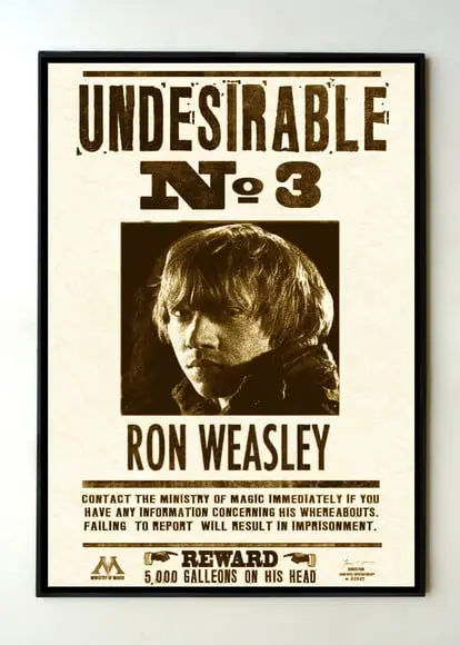Quadro Harry Potter Undesirable Nr 3 Ron Weasley