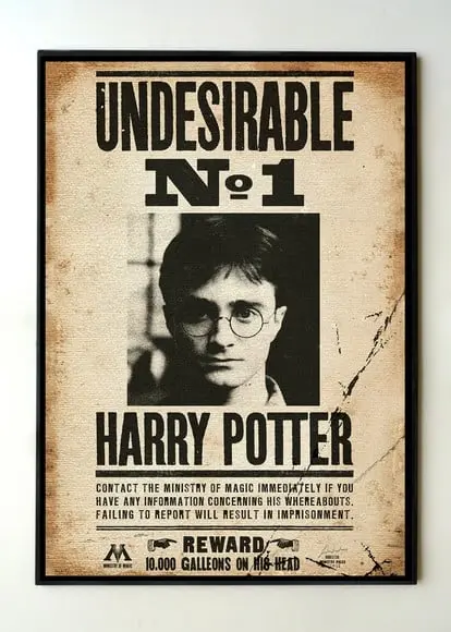 Quadro Harry Potter Undesirable Nr 1