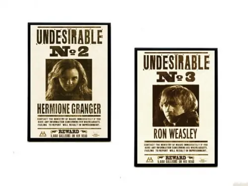 Quadros Harry Potter Undesirable Nr 2 e Nr 3