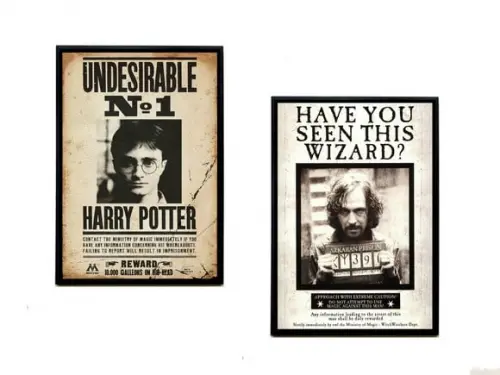Quadros Harry Potter Cartazes