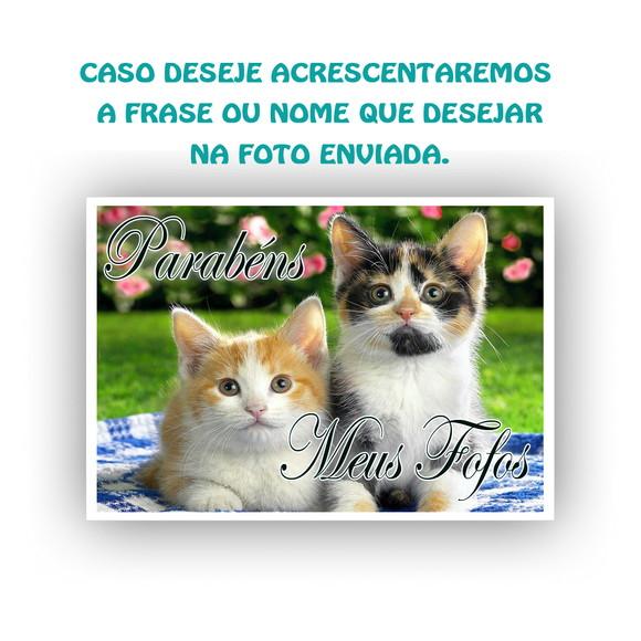 Papel Arroz Gato Envie Sua Fotografia