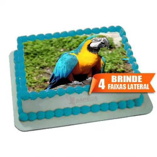 Papel arroz Arara Passaros + Brinde Faixas Laterais