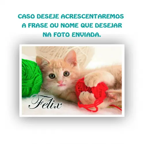 Papel Arroz Gatinho Gato Envie Sua Foto