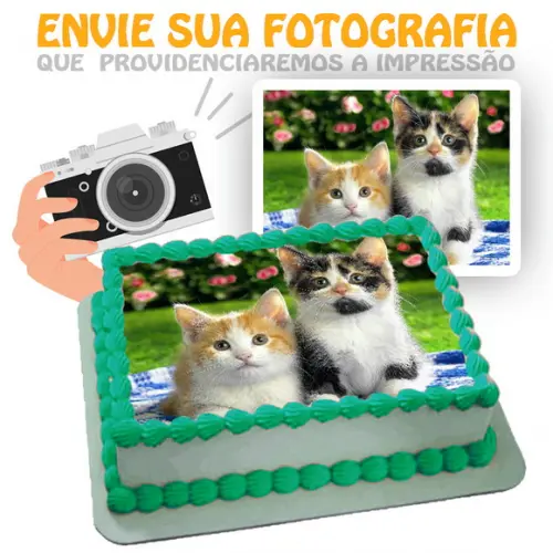 Papel Arroz Gato Envie Sua Fotografia