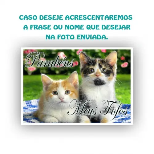 Papel Arroz Gato Envie Sua Fotografia