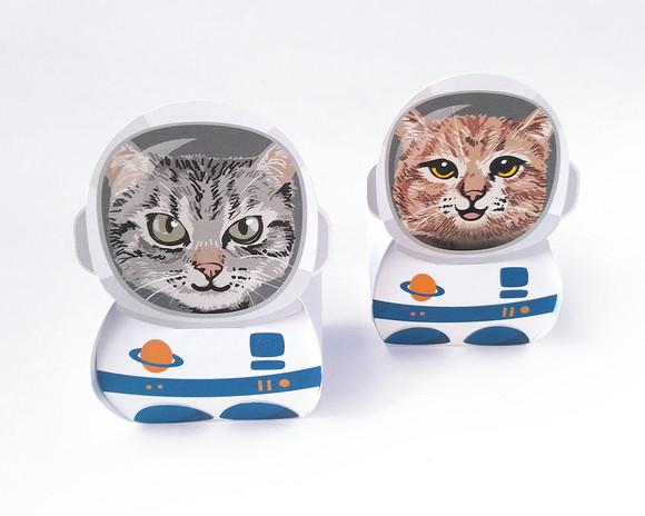 Caixinha Gato Astronauta