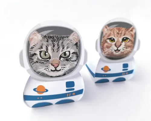 Caixinha Gato Astronauta