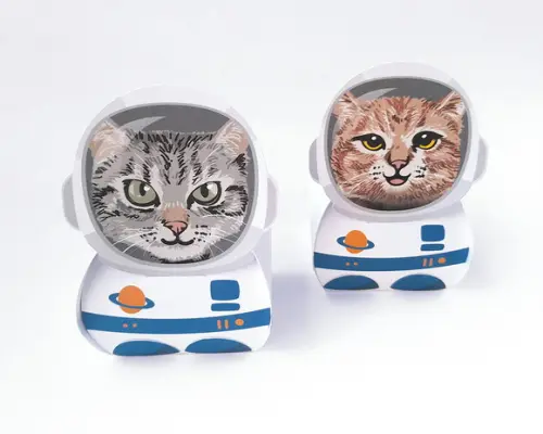 Caixinha Gato Astronauta