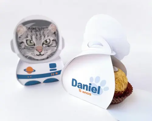 Caixinha Gato Astronauta