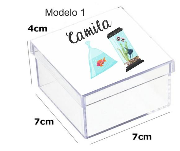 Caixa Acrilica 7x7x4-aquário