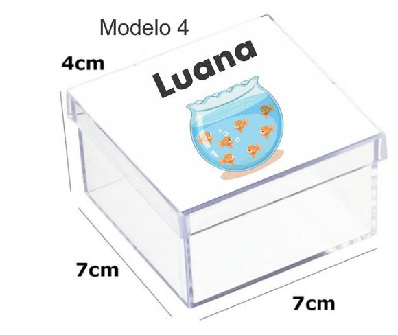Caixa Acrilica 7x7x4-aquário