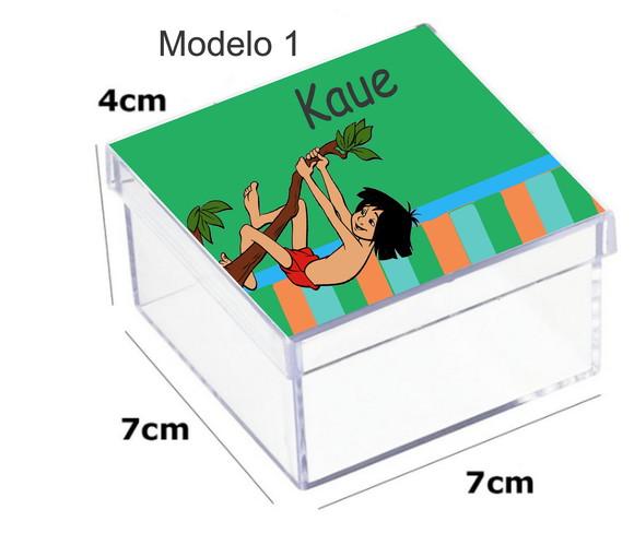 Caixa Acrilica 7x7x4-mogli