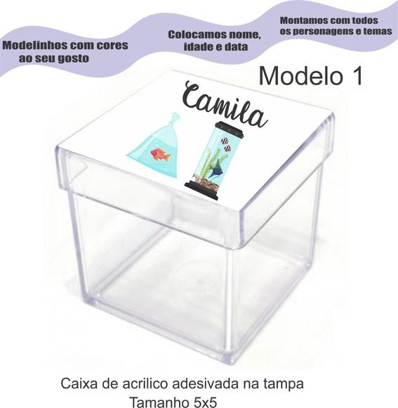 Caixa de Acrílico-aquário