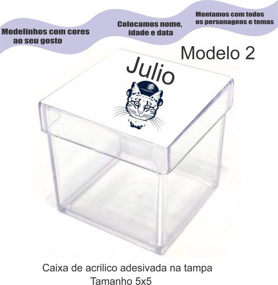 Caixa de Acrílico-gatinho