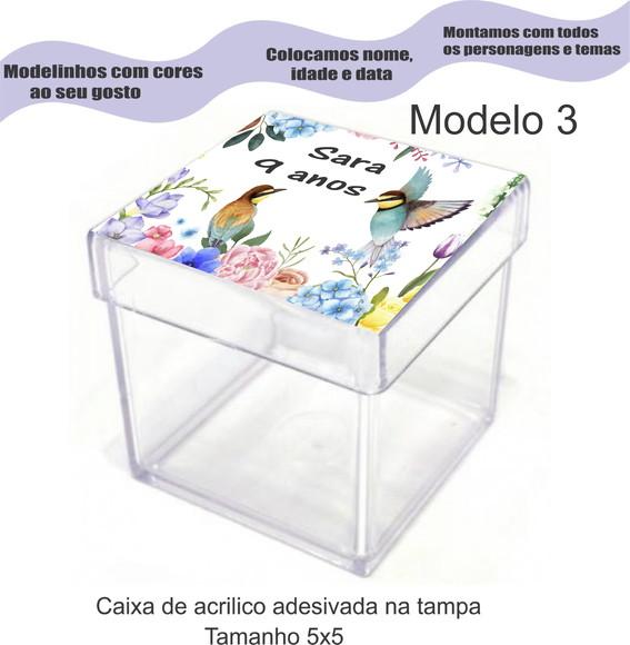 Caixa de Acrílico-pássaros