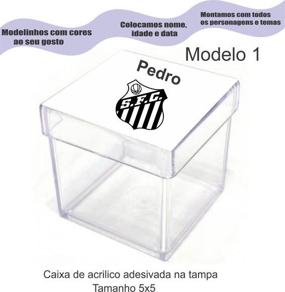 Caixa de Acrílico-peixe