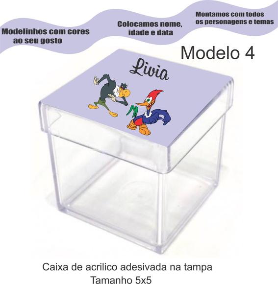 Caixa de Acrílico-pica Pau