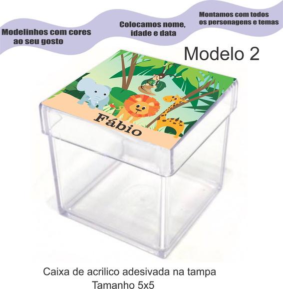 Caixa de Acrílico-safari