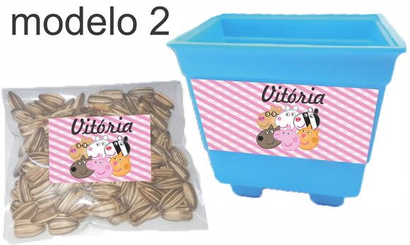Kit Vaso e Semente