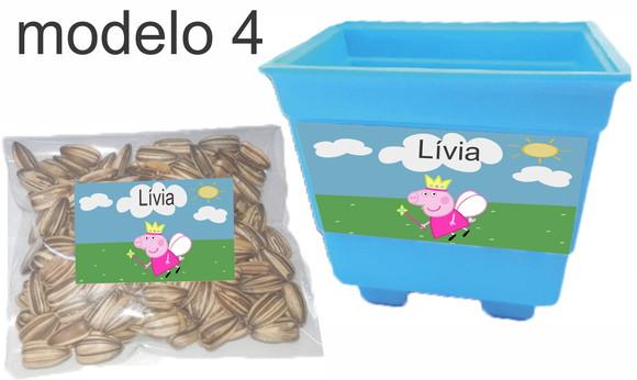 Kit Vaso e Semente