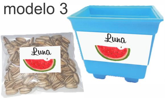 Kit Vaso e Semente Girassol