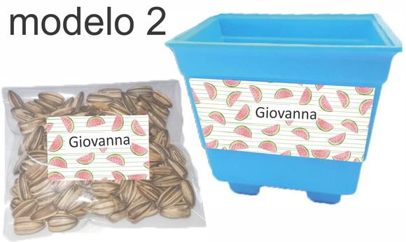 Kit Vaso e Semente Girassol