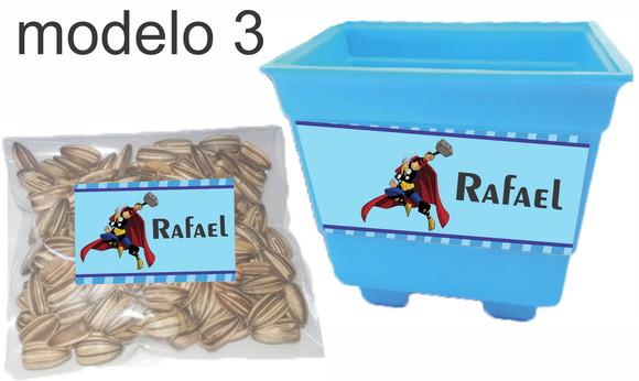 Kit Vaso e Semente- Thor