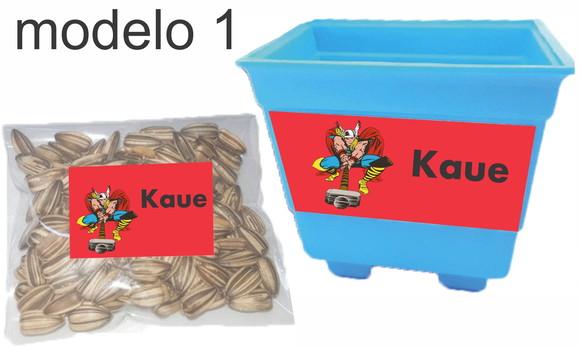 Kit Vaso e Semente- Thor