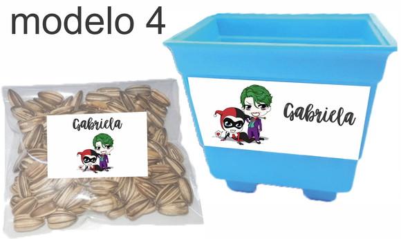 Kit Vaso e Semente-arlequina