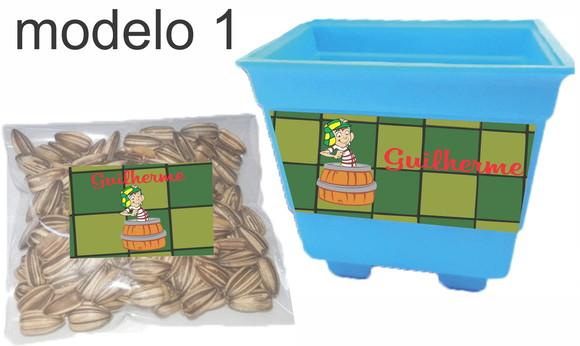 Kit Vaso e Semente-chaves