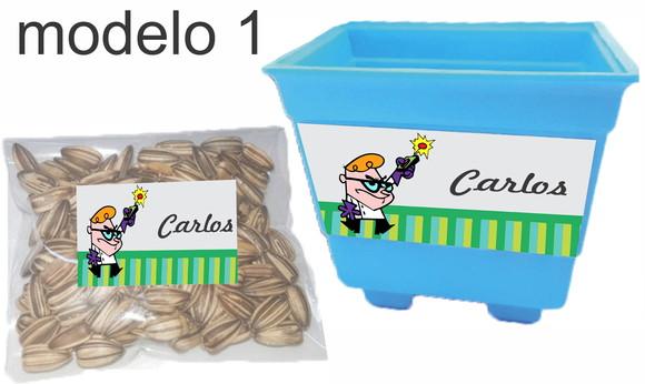 Kit Vaso e Semente-dexter
