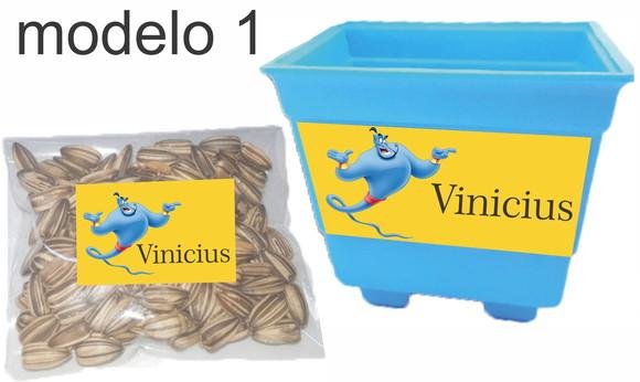 Kit Vaso e Semente-genio