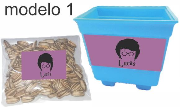 Kit Vaso e Semente-harry Potter-modelo 2