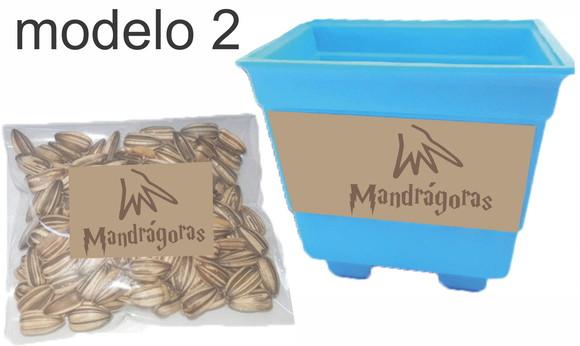 Kit Vaso e Semente-harry Potter-modelo 2