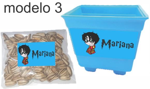 Kit Vaso e Semente-harry Potter-modelo 2