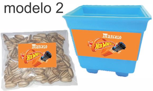 Kit Vaso e Semente-hot Whells